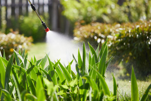 24/7 Emergency Termite Control experts in Rutherford, TN